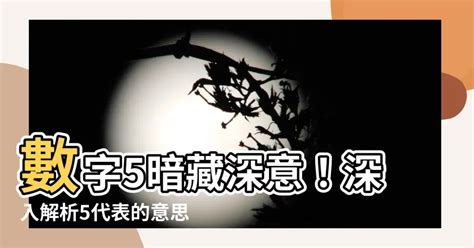 數字5像什麼|【數字5意思】數字5代表什麼？揭開數字的寓意，探究生命靈數中。